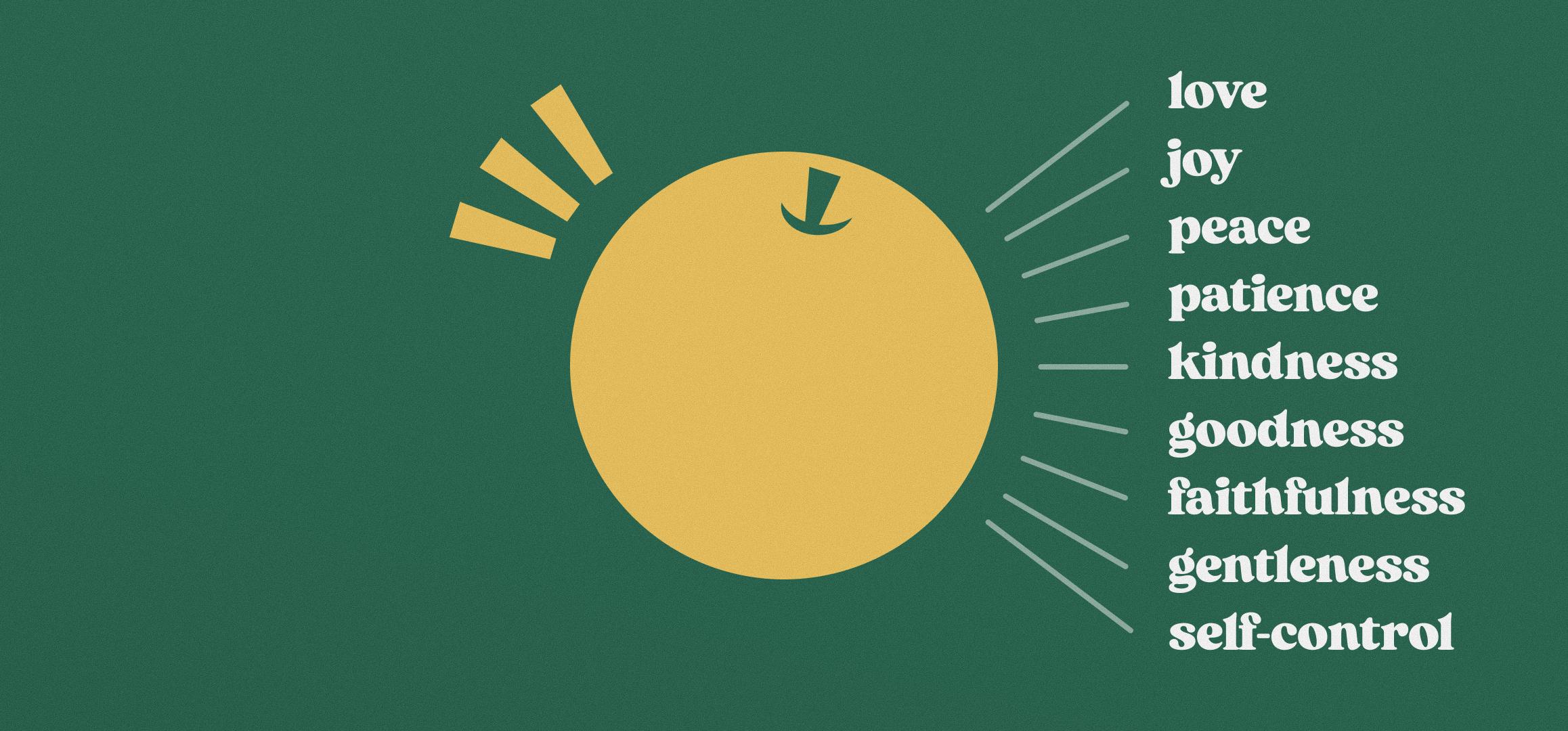 a simple illustration of a single fruit with all the attributes pointing to it
